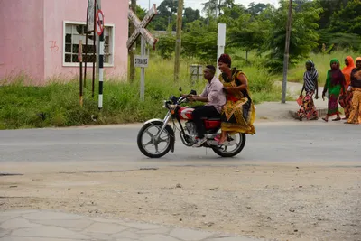 DSC_8767 (Large).JPG